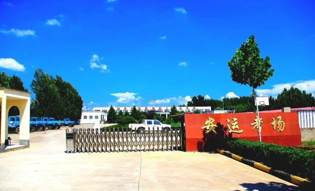 解读安阳安运驾校全新智慧驾培模式，如何轻松吸引年轻学员？